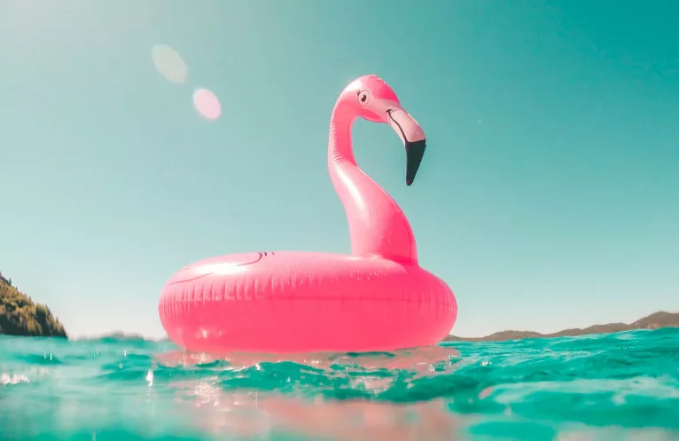 Plastic flamingo floating